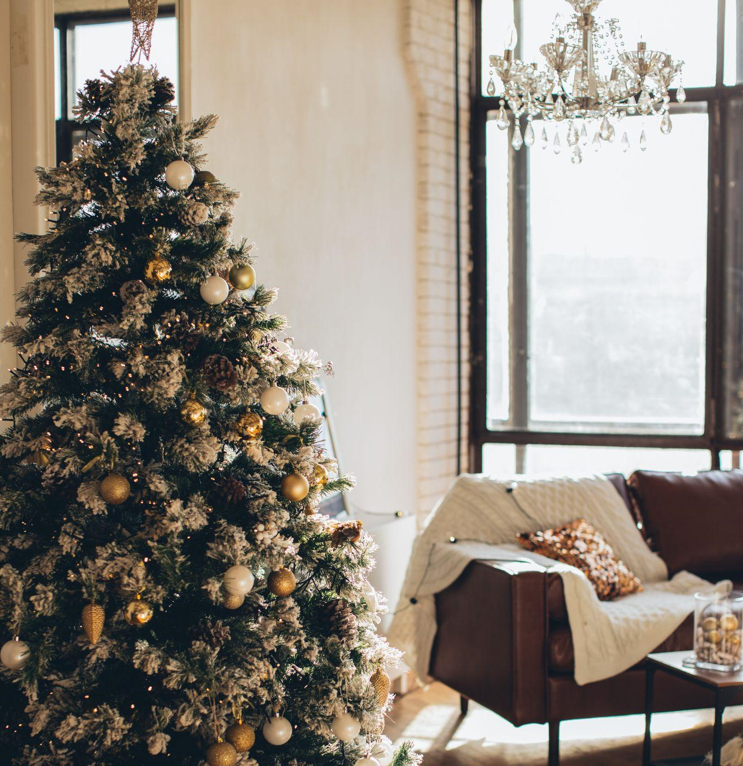 Your Ultimate Guide to Choosing and Decorating the Perfect Christmas Tree